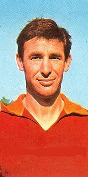 Mario Ardizzon