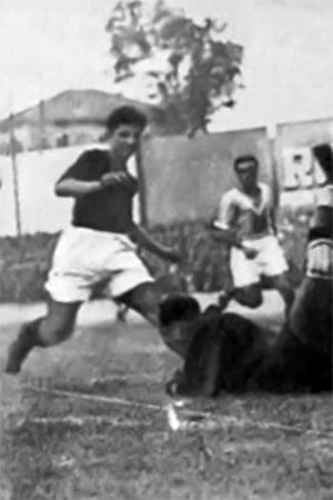 Fernando Belladonna in azione
